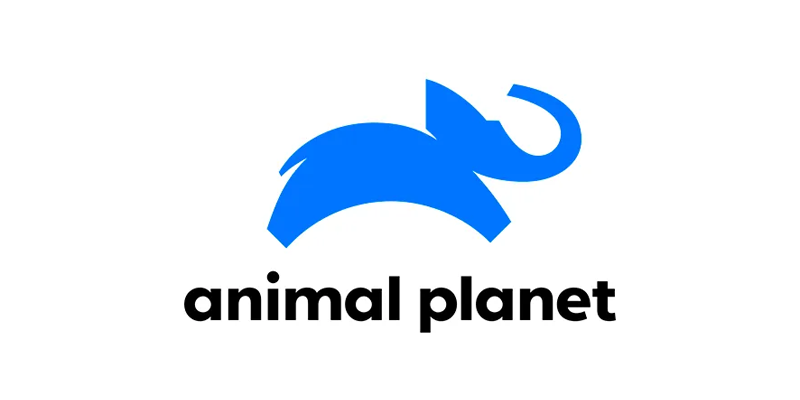 Home 2 animal-planet